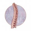 sierra-spine-specialist-chiropractic-clinic