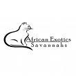 african-exotics-savannahs