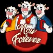 now-and-forever