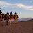 morocco-insight-excursions
