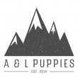 a-and-l-puppies