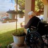 BeeHive Homes of Alamogordo Assisted Living - Sunshine Activities