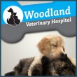 woodland-veterinary-hospital