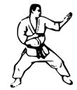 lewis-global-karate
