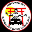 james-walkers-bushido-academy-of-karate