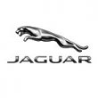 jaguar-of-south-bay
