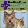 blue-cross-animal-hospital