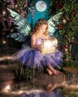 enchanted-fairies-studio