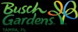 busch-gardens-tampa