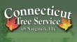 connecticut-tree-service-of-naugatuck