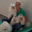 wagging-in-style-pet-salon-dog-daycare-llc