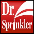 dr-sprinkler-repair