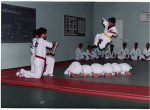 world-tae-kwon-do-academy