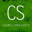 the-chameleon-studio-kim-dubois