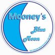 mooney-s-blue-moon-ice-cream