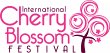 cherry-blossom-festival