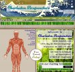 charleston-acupuncture