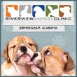 riverview-animal-clinic