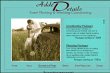added-details-event-planning-and-wedding-coordinating