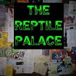 the-reptile-palace
