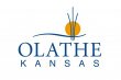 olathe-city-of-financial-services-departments-accounting