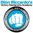 victory-martial-arts-academy-chicago