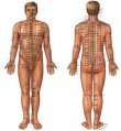 revive-health-acupuncture