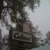 calvin-s-restaurant
