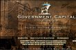 government-capital