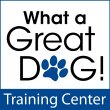 what-a-great-dog-dog-training