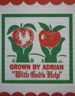 adrian-orchard
