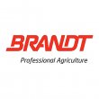 brandt-consolidated