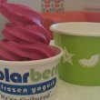 polarberry-frozen-yogurt
