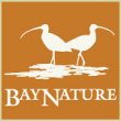 bay-nature