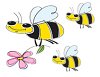 honey-bee-academy