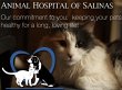 animal-hospital-of-salinas