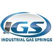 international-gas-springs