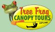 tree-frog-canopy-tours-zipline