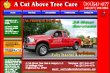 a-cut-above-tree-care-and-surgery