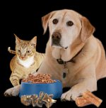 feed-my-pets-online