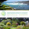 mendocino-coast-botanical-gardens