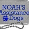 noah-s-assistance-dogs