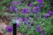 grooms-irrigation-co
