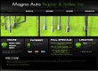 magno-auto-repair