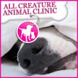 all-creatures-animal-clinic