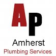 amherst-plumbing-services