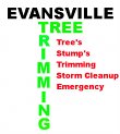 tree-trimming-evansville