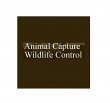 animal-capture-wildlife-control