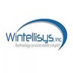 wintellisys-technology-services