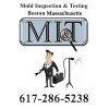 mold-inspection-testing-boston-ma